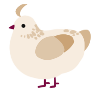 A cream and beige chicken with a neck-speckle pattern