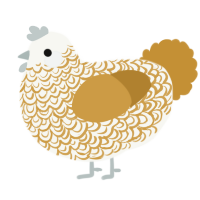 A white and gold chicken with a double-lace pattern