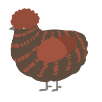 A bark and russet chicken with a bar pattern