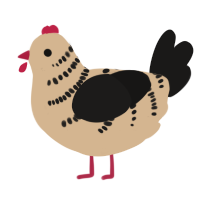 A beige and sable chicken with a half-bar pattern