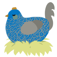 A sapphire and ash chicken with a double-lace pattern