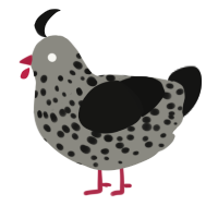 A ash and black chicken with a speckle pattern