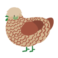A beige and russet chicken with a lace pattern
