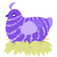 A blurple and lilac chicken with a bar pattern