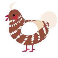 A russet and cream chicken with a bar pattern