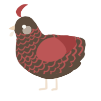 A bark and red chicken with a lace pattern