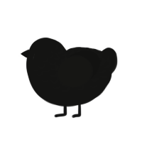 Carbon, a black chicken with a half-lace pattern