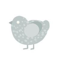 A silver chicken with a speckle pattern