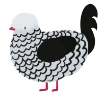 A mist and black chicken with a lace pattern