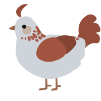 A mist and russet chicken with a neck-speckle pattern