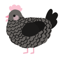 A grey and sable chicken with a lace pattern