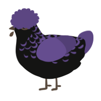 A black and overcast chicken with a half-lace pattern