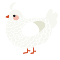 A white chicken with a lace pattern