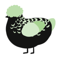 A black and gluppy chicken with a half-lace pattern