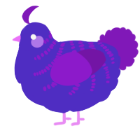 A indigo and violet chicken with a half-bar pattern