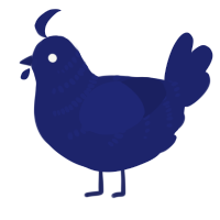 A navy chicken with a half-bar pattern
