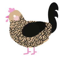 A beige and black chicken with a double-lace pattern