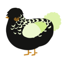 A black and apple chicken with a half-lace pattern