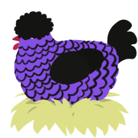 A blurple and black chicken with a lace pattern