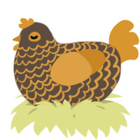 A bark and orange chicken with a lace pattern