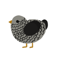 Harpy, a ash and sable chicken with a lace pattern