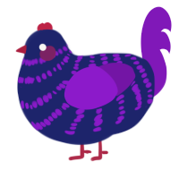 A navy and violet chicken with a bar pattern