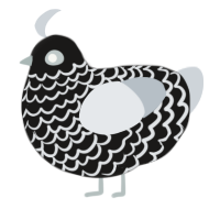 A sable and mist chicken with a lace pattern
