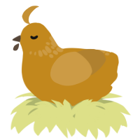 A ochre and gold chicken with a neck-speckle pattern