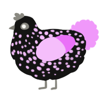 A black and lavender chicken with a speckle pattern