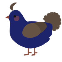 A navy and bark chicken