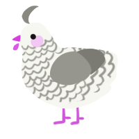 A white and ash chicken with a lace pattern