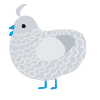 A mist chicken with a lace pattern