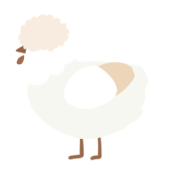 A white and cream chicken with a head pattern