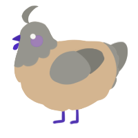 A beige and ash chicken with a head pattern