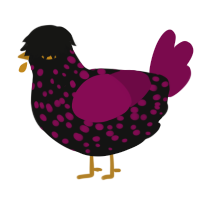 A black and wine chicken with a speckle pattern