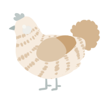 A cream and beige chicken with a bar pattern