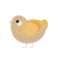 Le Safran, a beige and honey chicken with a half-lace pattern