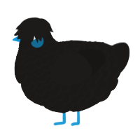 A sable chicken with a lace pattern