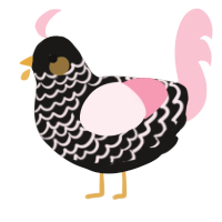 A sable and rose chicken with a lace pattern