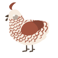 A cream and russet chicken with a lace pattern