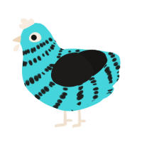 A aqua and sable chicken with a bar pattern
