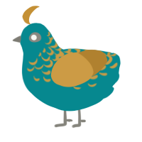 A teal and gold chicken with a half-lace pattern