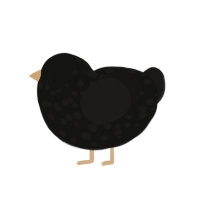 (unnamed), a black and sable chicken with a speckle pattern