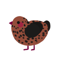 Calli, a russet and sable chicken with a speckle pattern