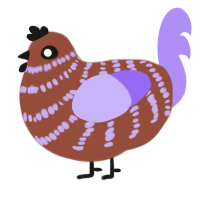 A russet and lilac chicken with a bar pattern