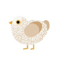 Toasty Marshmallow, a white and beige chicken with a double-lace pattern