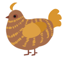A brown and orange chicken with a bar pattern