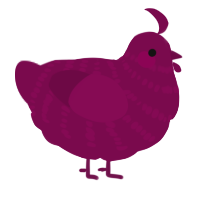 A wine chicken