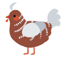A russet and mist chicken with a half-bar pattern