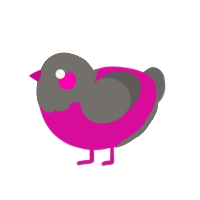 Disco, a fuchsia and grey chicken with a head pattern